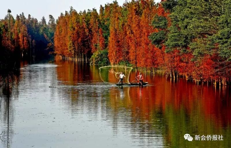 （经济观察）厦门从“天然摄影棚”向影视“产业策源地”蜕变