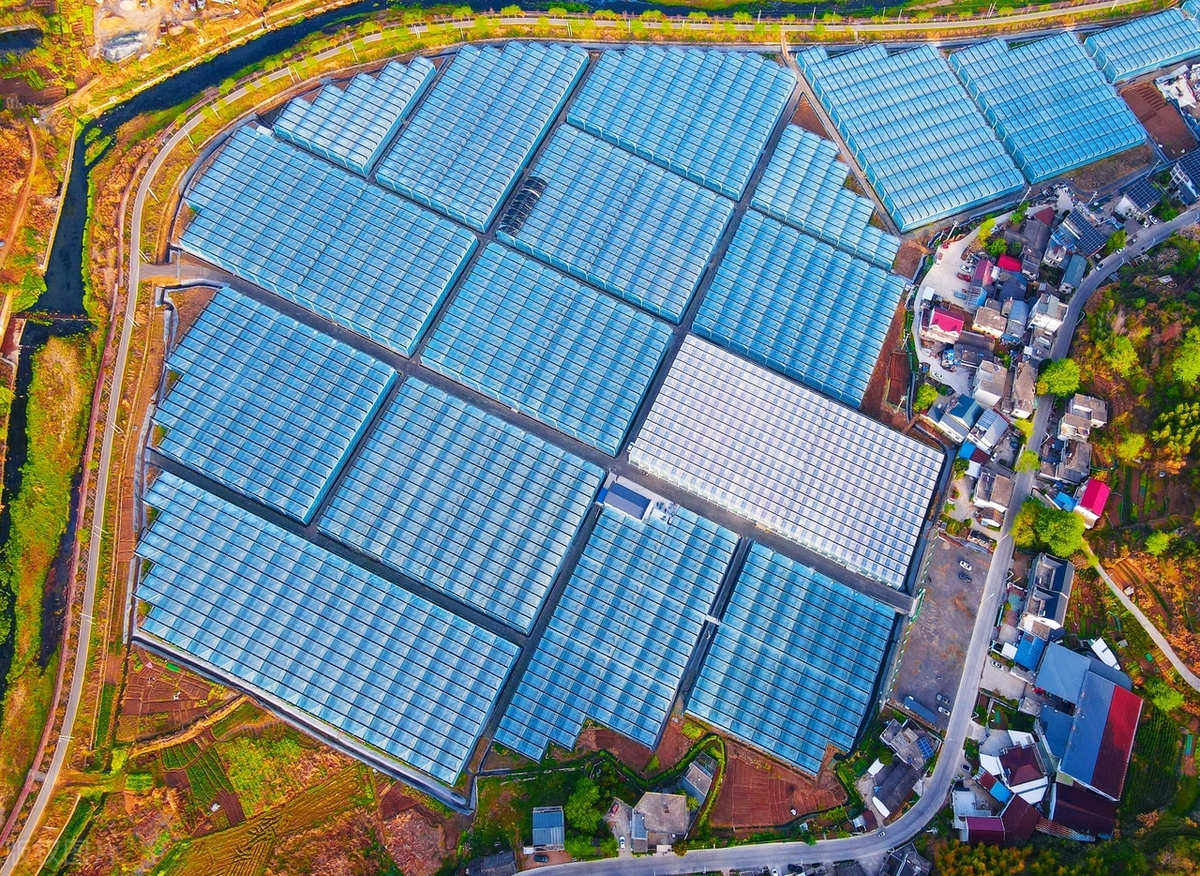 宁夏原州改造升级老旧温室 筑牢设施蔬菜“致富棚”