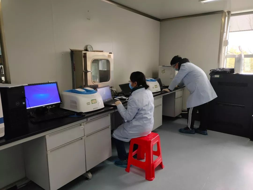 圣湘生物获得外观设计专利授权：“核酸检测分析仪”