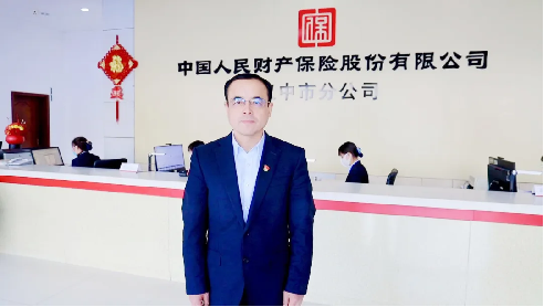 人保财险 ,人保有温度_2026-2030中国视联网行业投资图谱：解码“马到”机遇与增长曲线