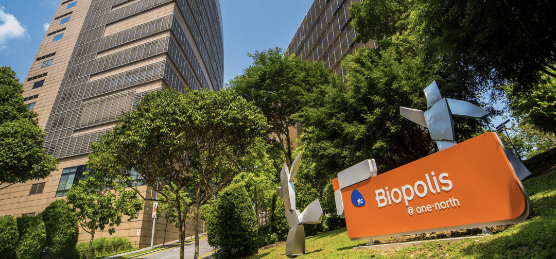 上海市委书记陈吉宁专题调研未来产业培育发展