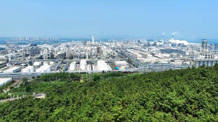 万华化学等成立新材料公司