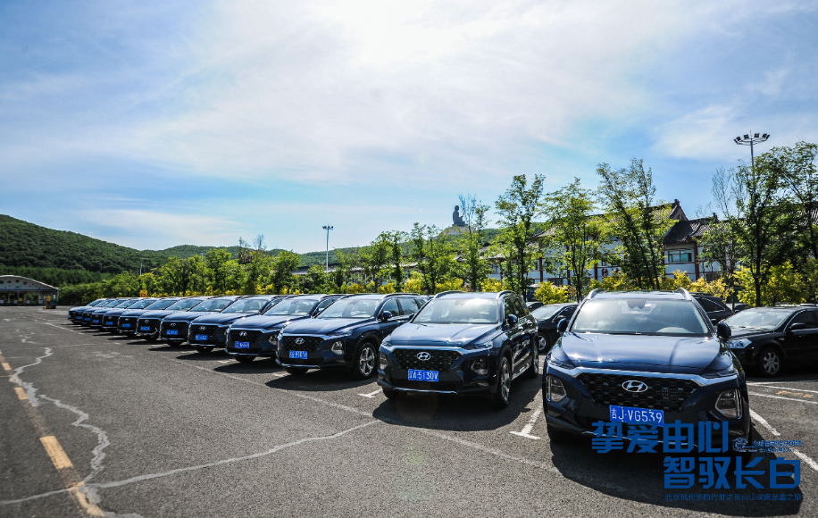 3月20日大胜达涨停：光伏，智能制造，造纸概念热股