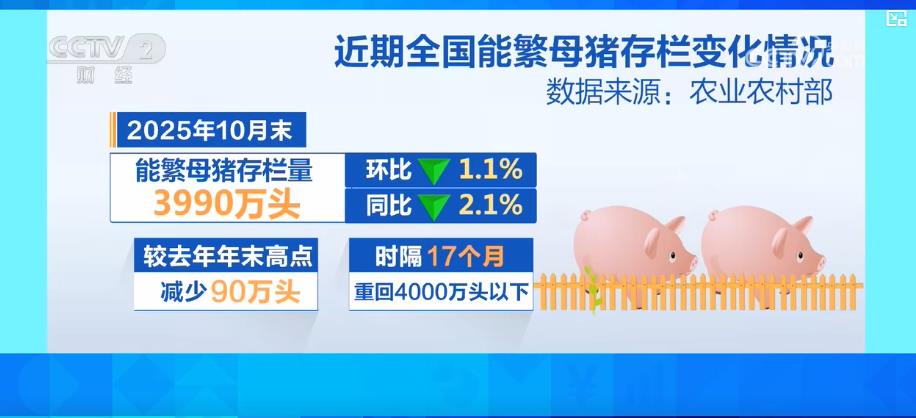 官方:持续强化生猪产能综合调控