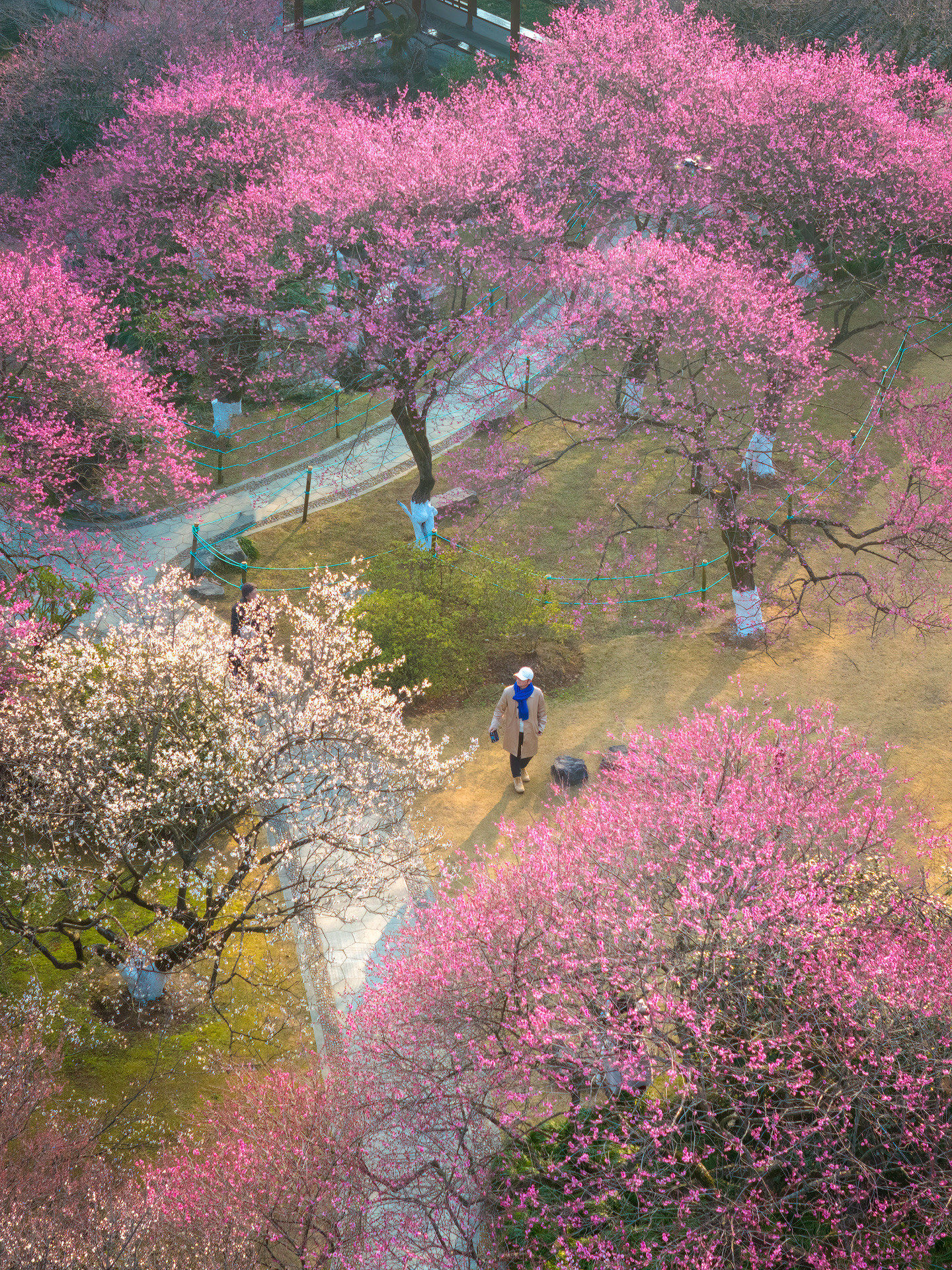“花神”降临杭州植物园,“春日唤醒”游园会解锁防非反诈新姿势