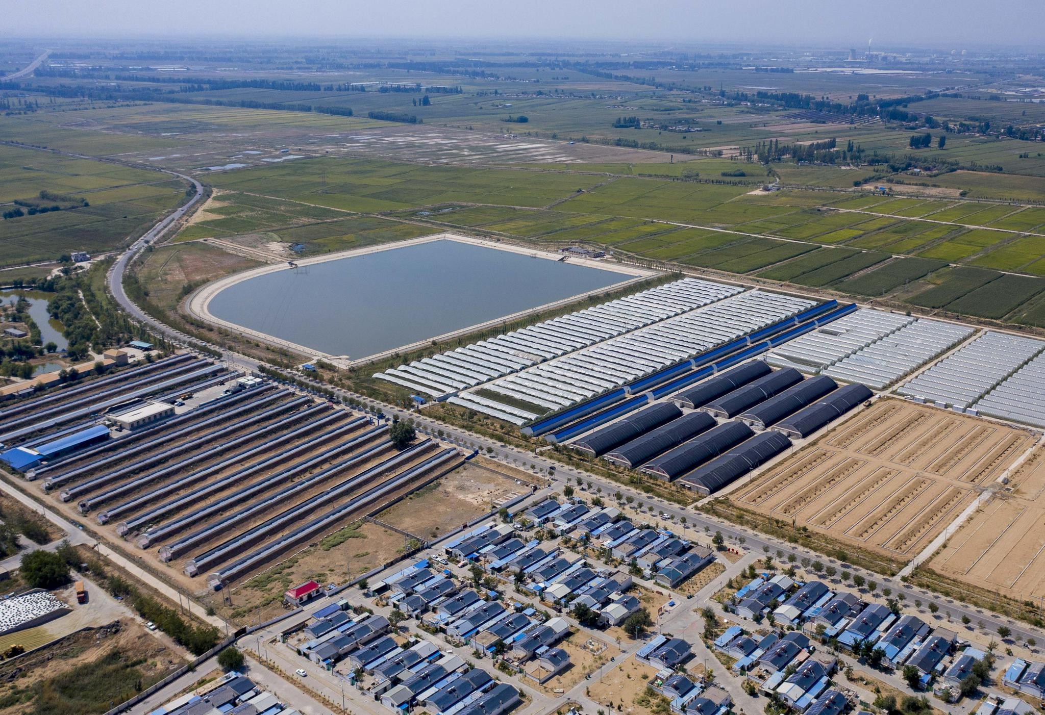 江西九江发展特色设施农业 助力农民增收致富