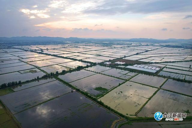 江西九江发展特色设施农业 助力农民增收致富