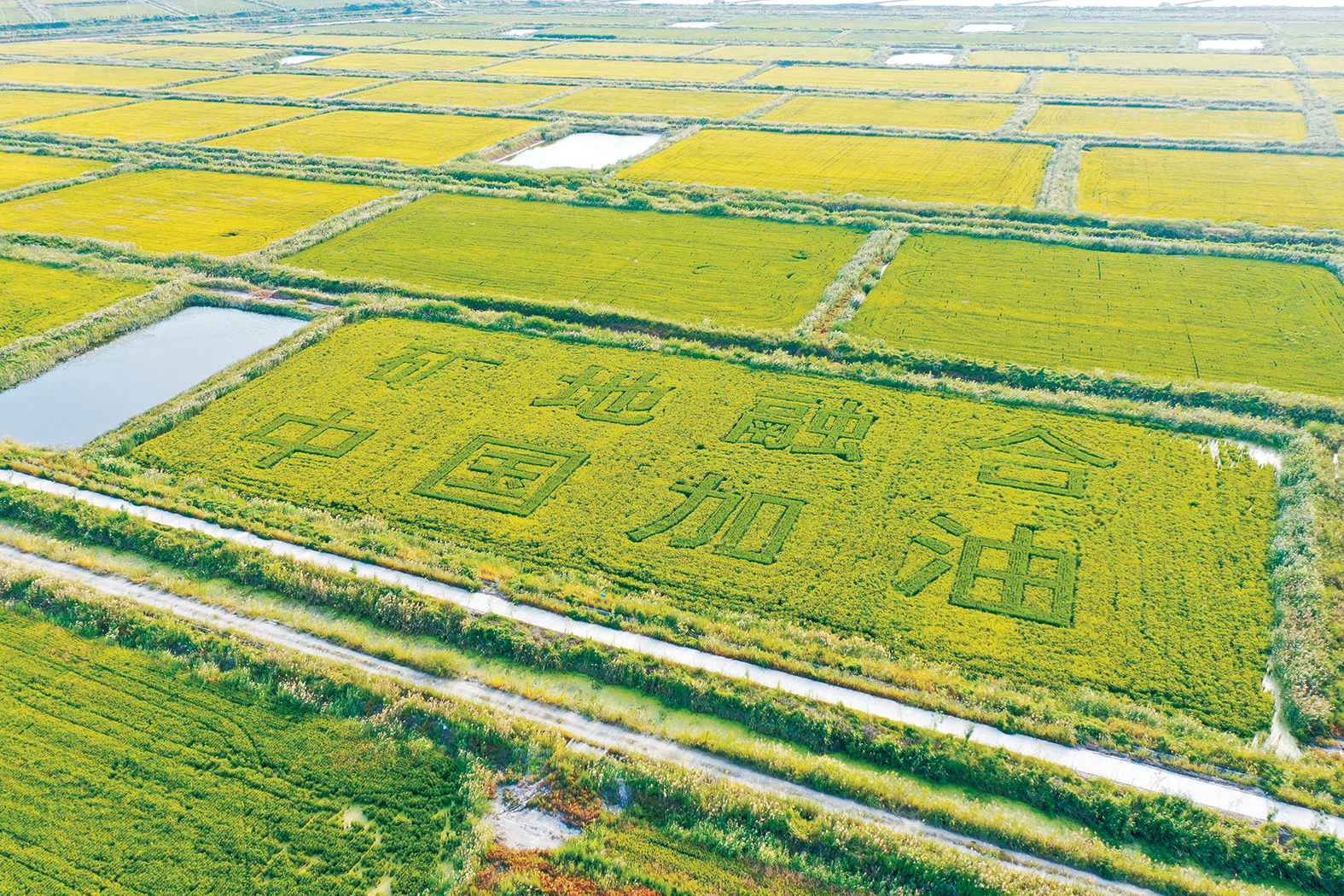 东方钽业：公司将持续做好各项经营工作推动公司高质量发展