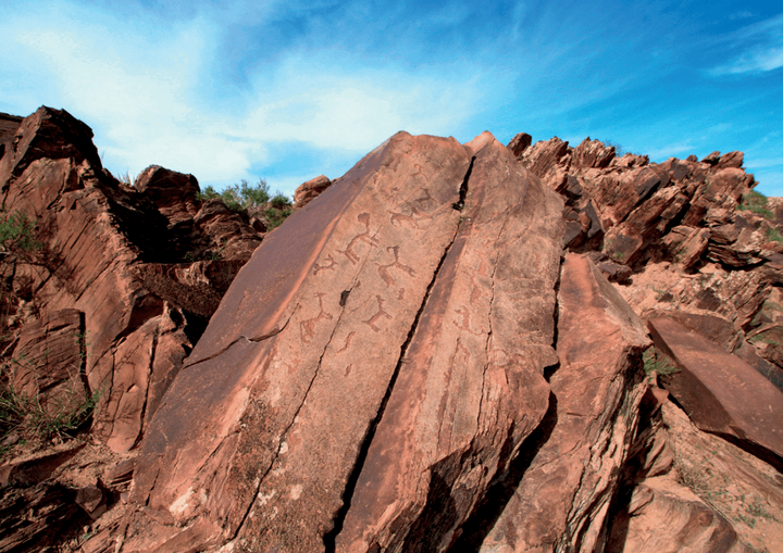远古发现丨我国最完整羚牛化石现身贵州双河洞