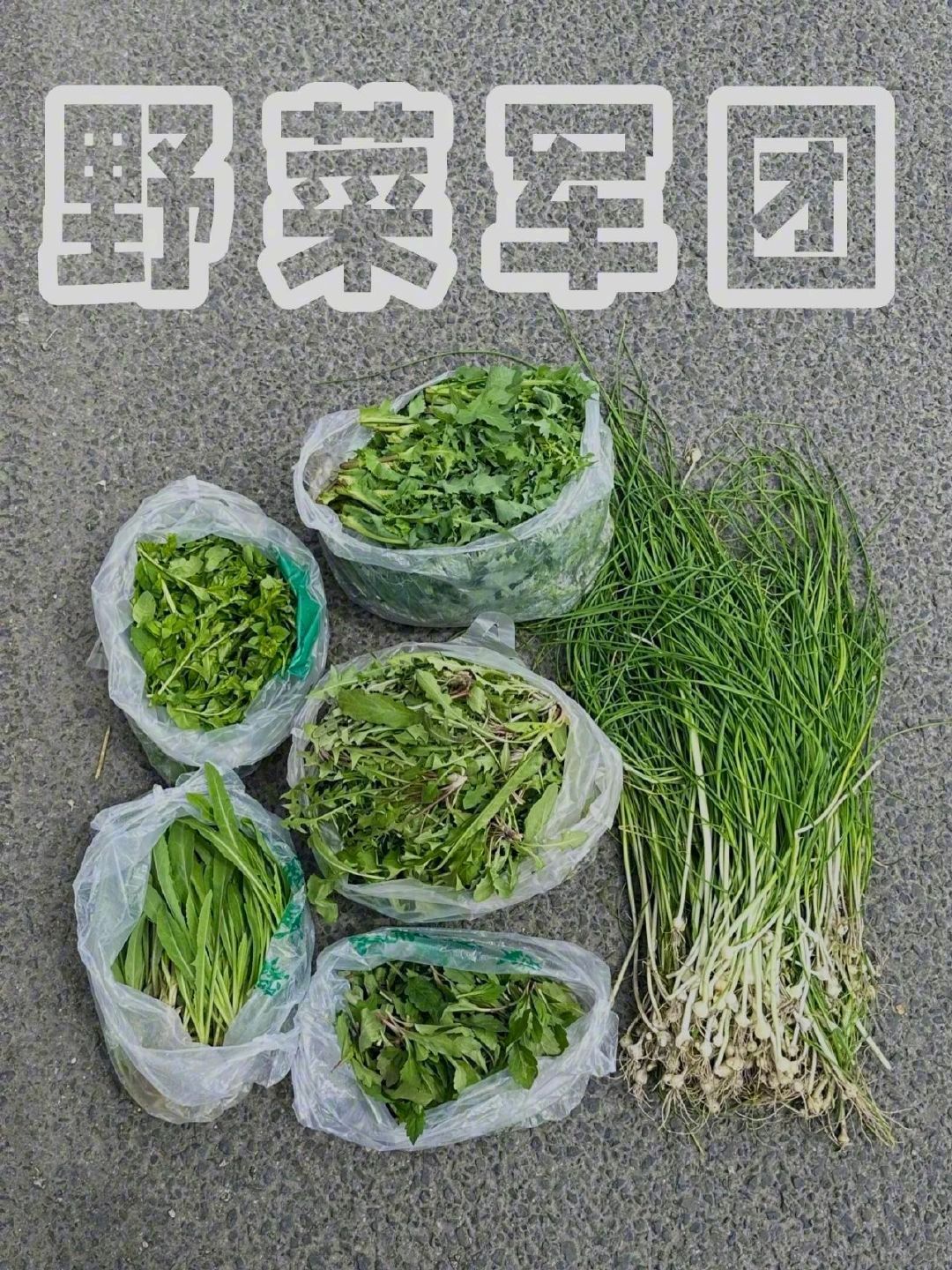 今年春天，这届年轻人都去结伴挖野菜了