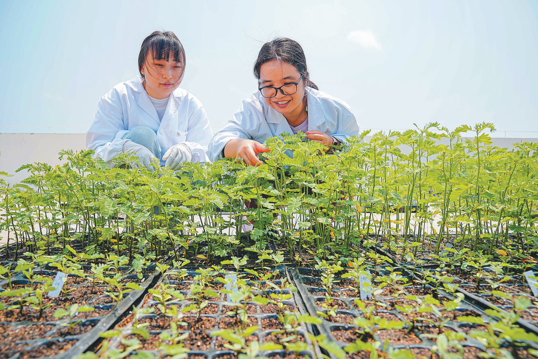 科学与健康丨培育更多一流科技期刊——科研人员创新“挑大梁” 观察