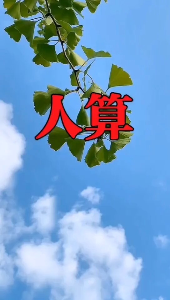 “天算”如何帮“人算”