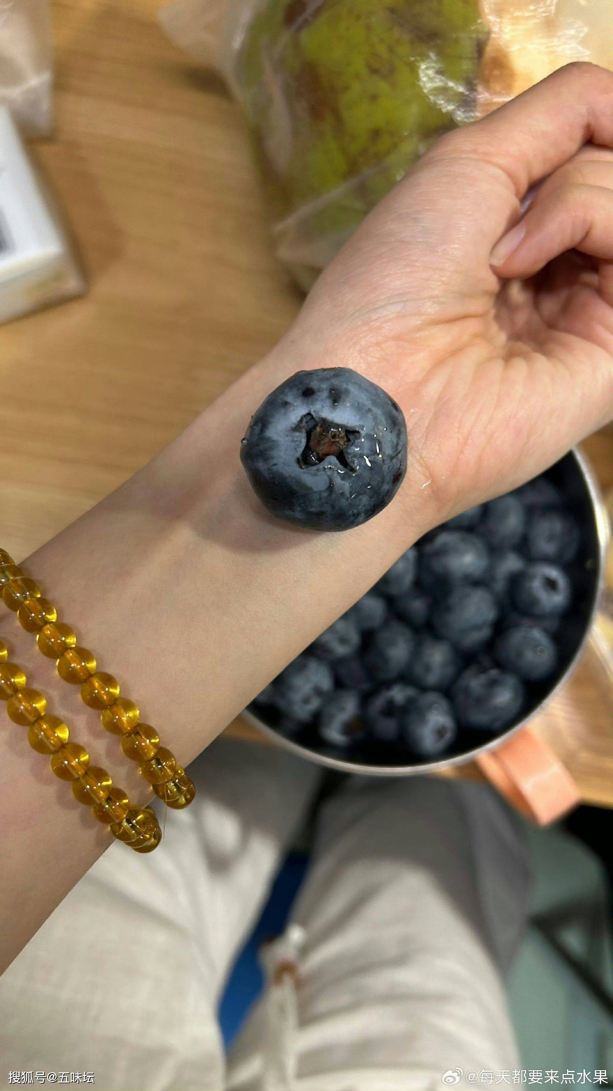 蓝莓价格走低 国产品种研发多点推进