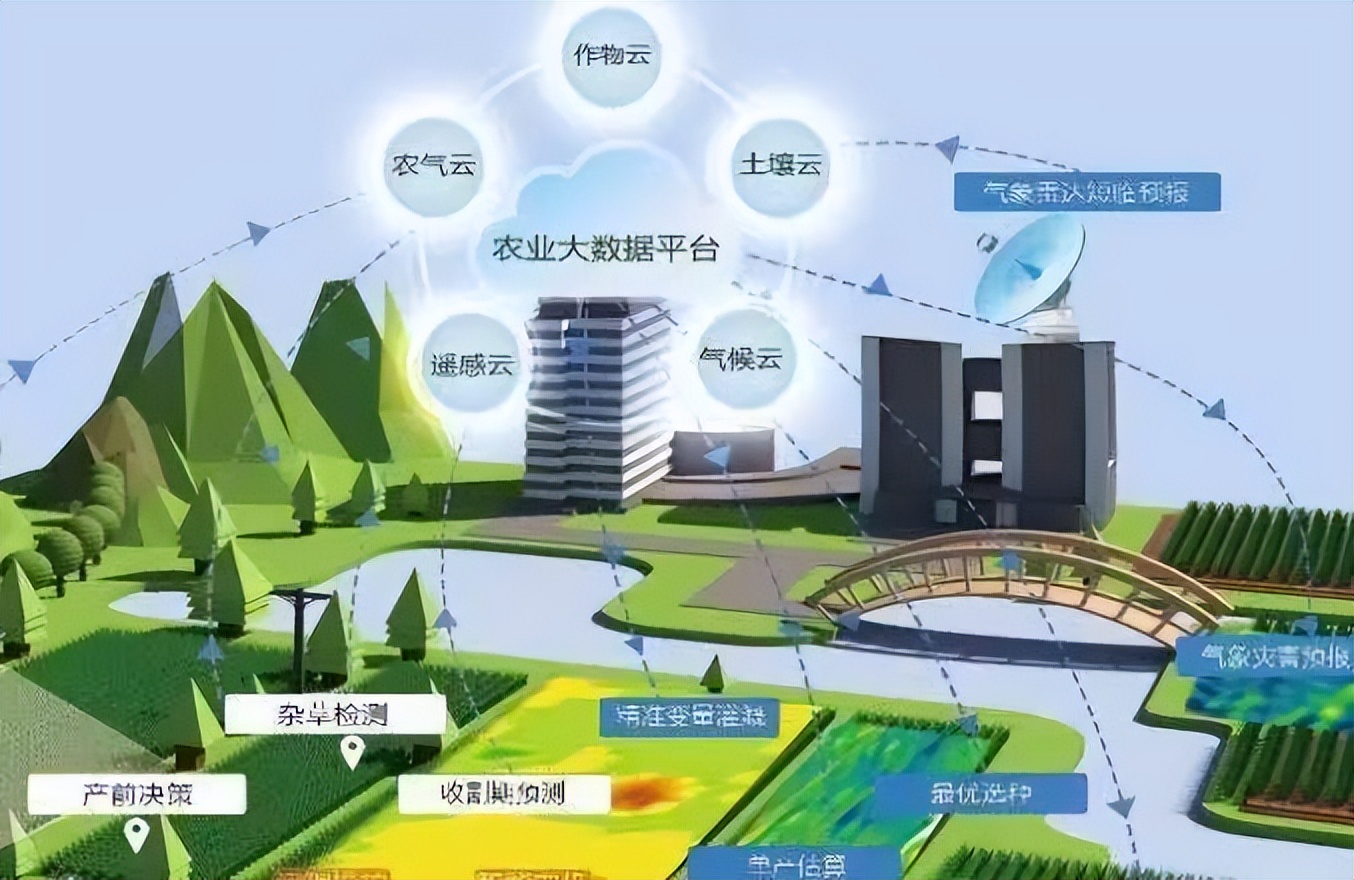 农业农村部：培育一批具有国际竞争力的种业科技领军企业