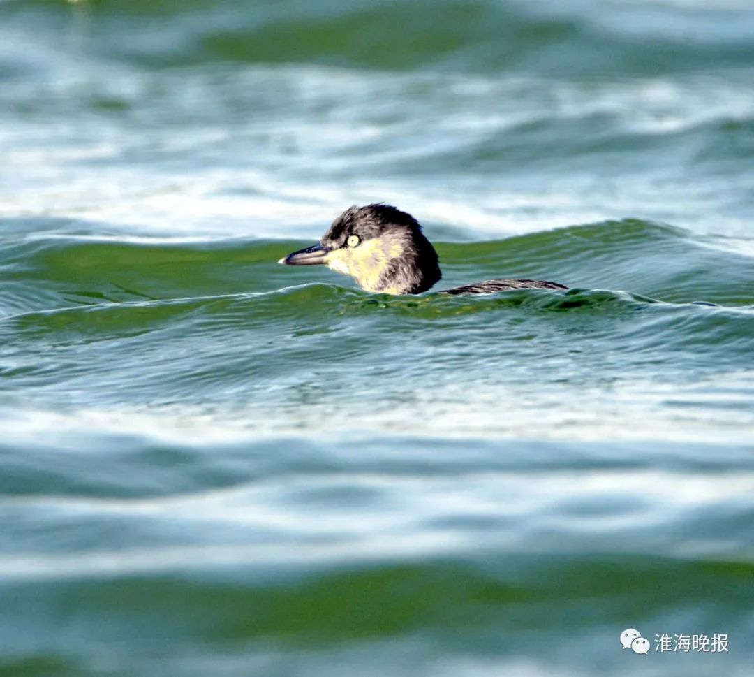 立方风控鸟·晚报（4月28日）