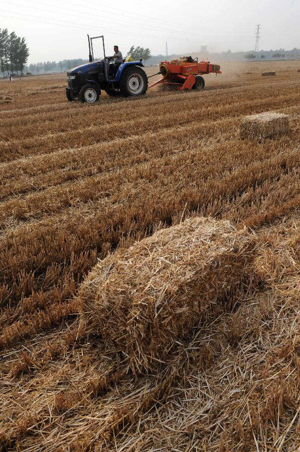河南省首单小麦综合气象指数保险落地