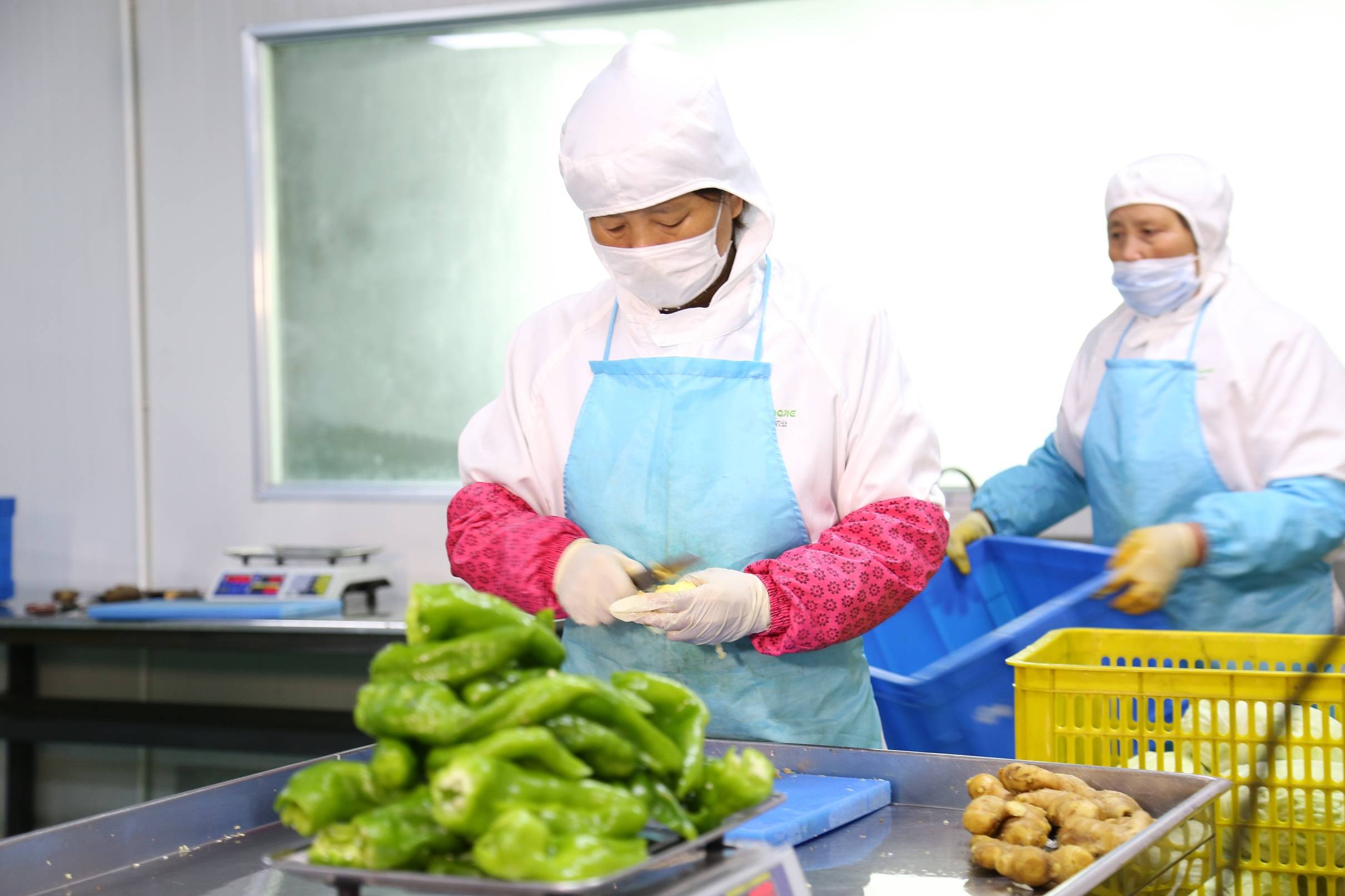 2026食材配送产业深度调研：结构性增长与区域分化并存_人保服务,人保财险政银保 
